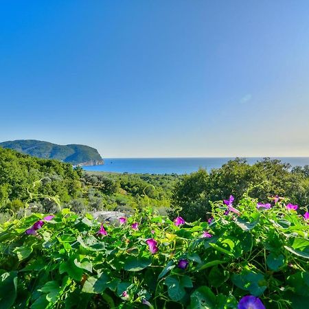 Pataki Studios Petrovac Exterior foto