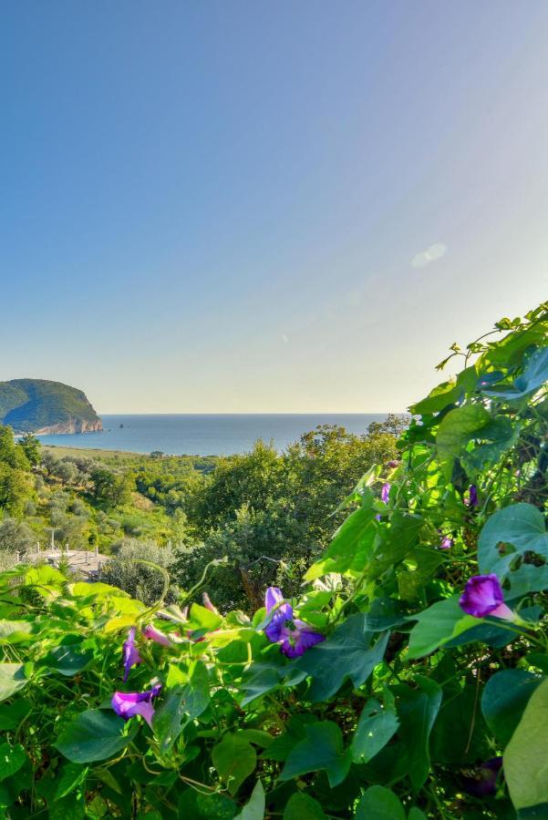 Pataki Studios Petrovac Exterior foto