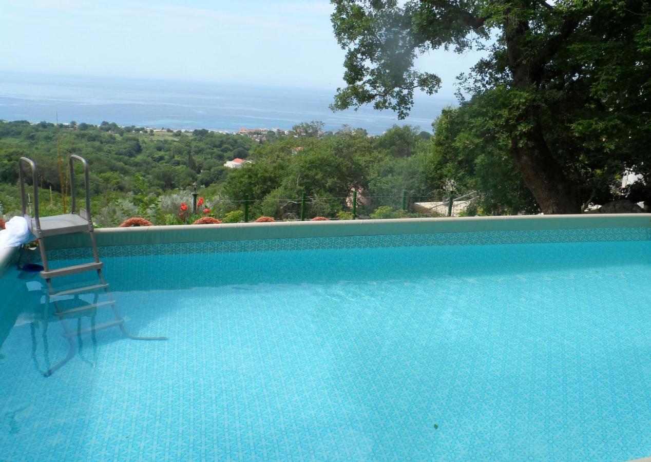Pataki Studios Petrovac Exterior foto